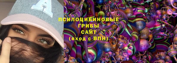 МДПВ Абаза